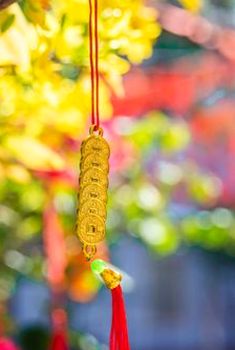 dịch vụ khách hàng Sodo